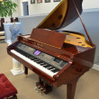 Kawai Concert Performer digital grand piano - Grand Pianos